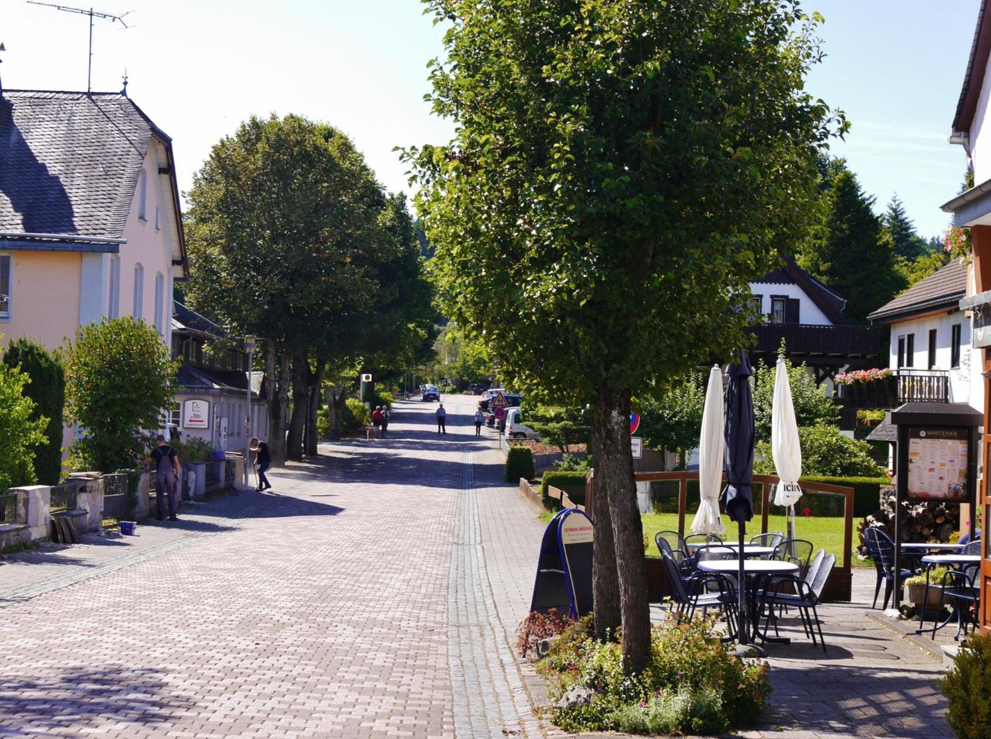 Ferienhaus Diemelquelle - Mit Eingezaeuntem Garten Willingen  Exterior photo
